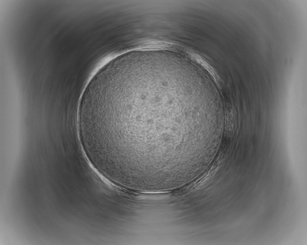 X0000115441487200911121113