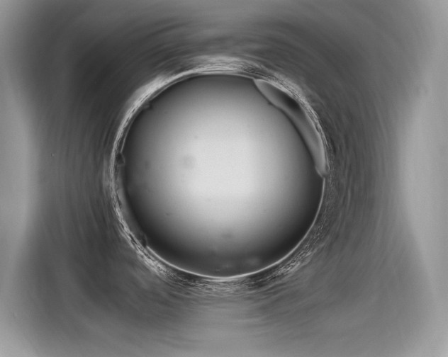 X0000115441488200911121113