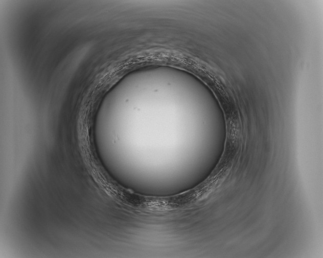 X0000115441489200911121112