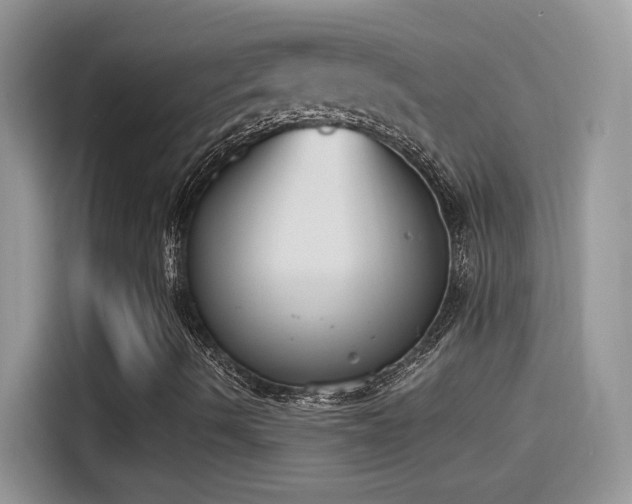 X0000115441490200911121112