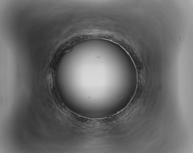 X0000115441493200911121112