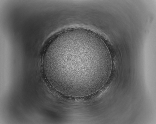 X0000115441494200911121112