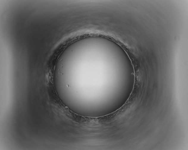X0000115441495200911121113