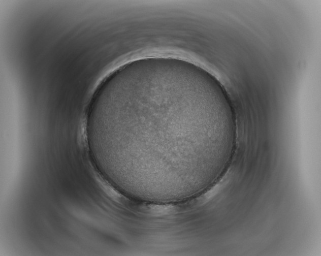 X0000115441498200911121113
