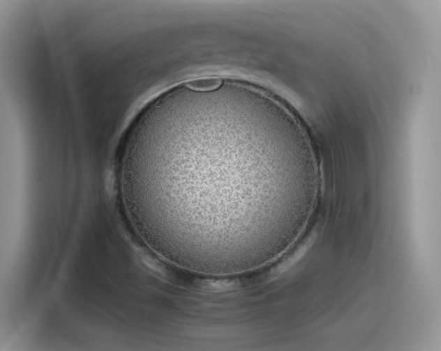 X0000115441501200911121113