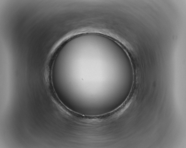 X0000115441502200911121113