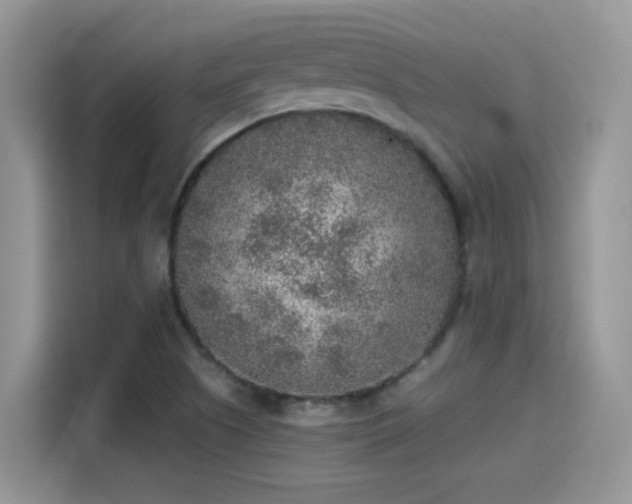 X0000115441505200911121113