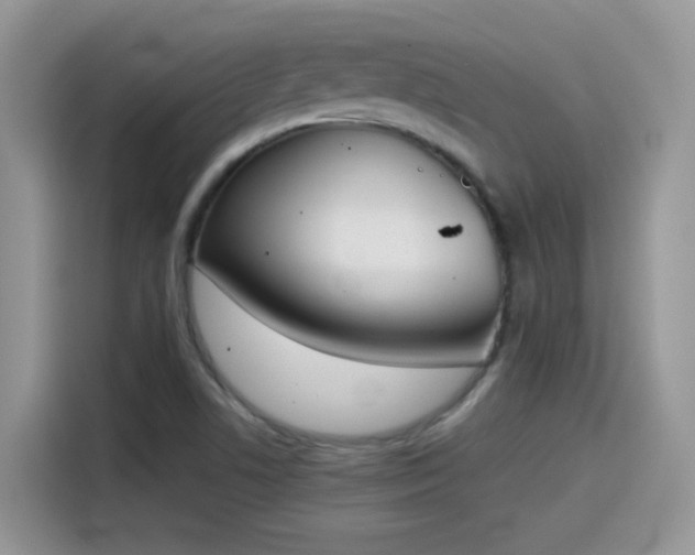 X0000115441506200911121113