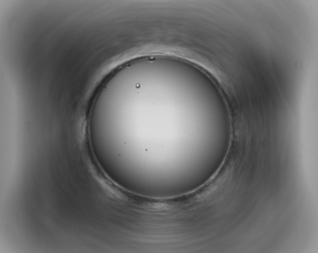 X0000115441507200911121113