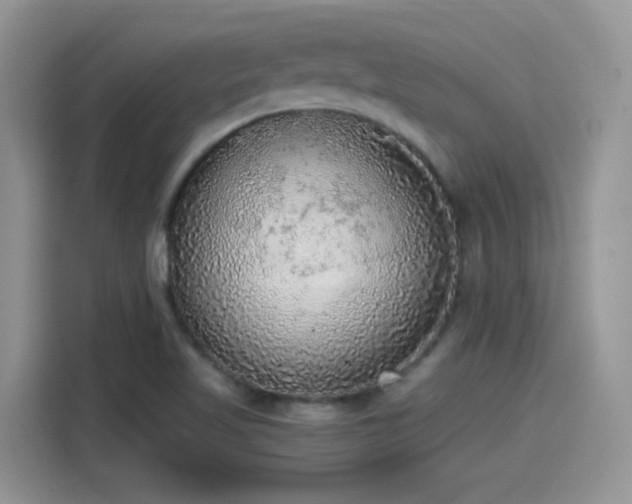 X0000115441509200911121113