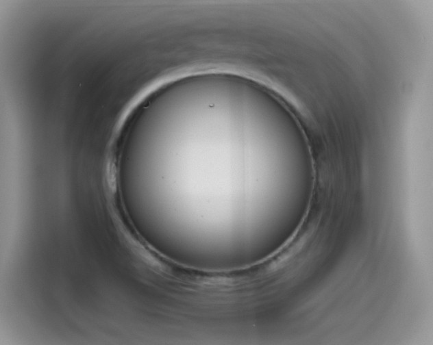 X0000115441510200911121113