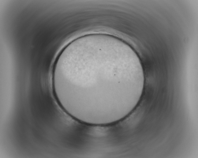 X0000115441514200911121113