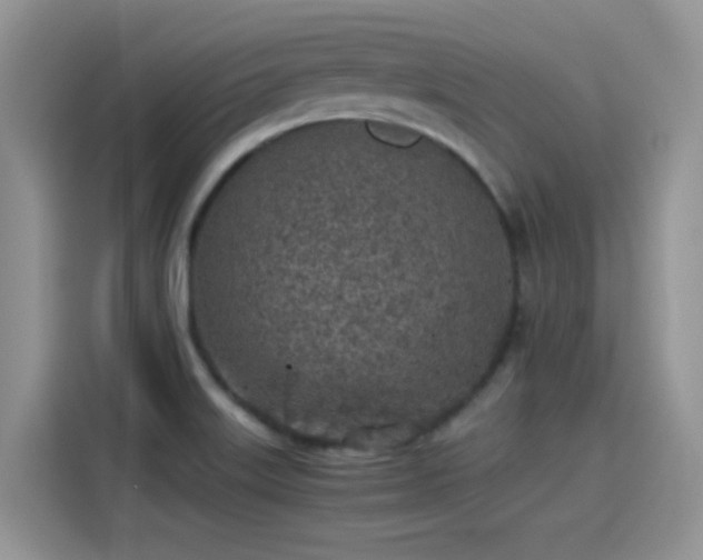 X0000115441515200911121113