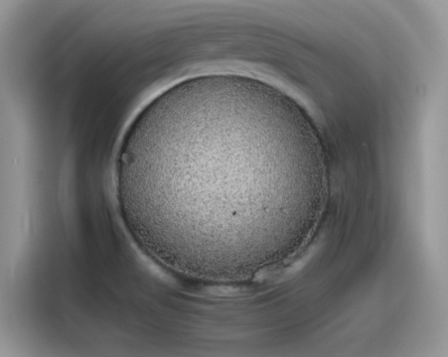 X0000115441517200911121113