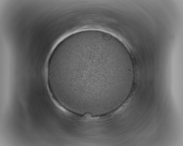 X0000115441519200911121113