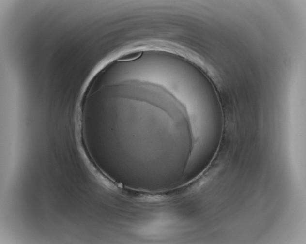 X0000115441522200911121113