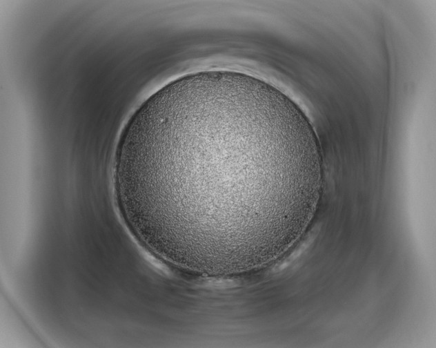 X0000115441525200911121113
