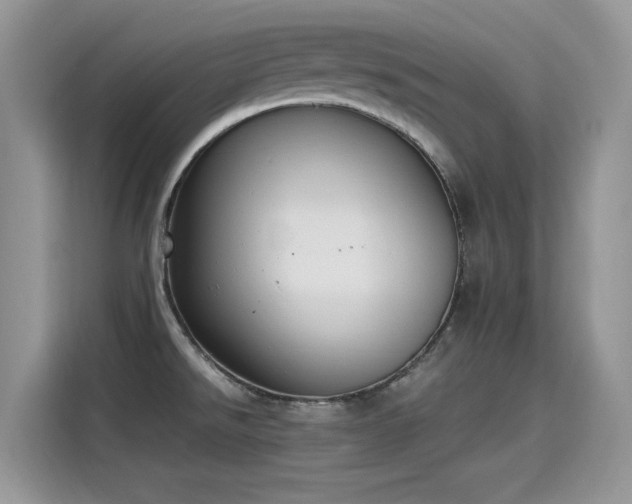 X0000115441526200911121113