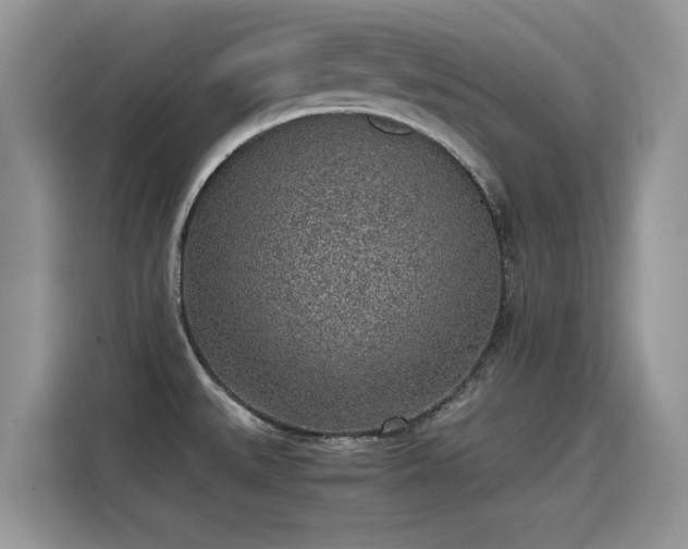 X0000115441527200911121113