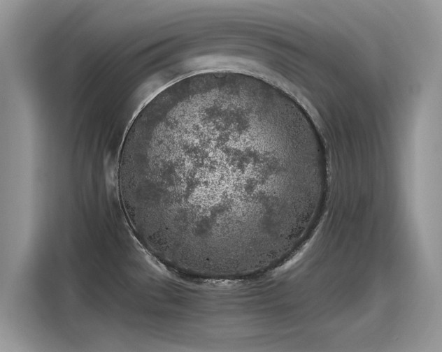 X0000115441529200911121113