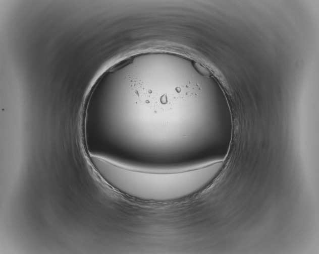 X0000115441530200911121113