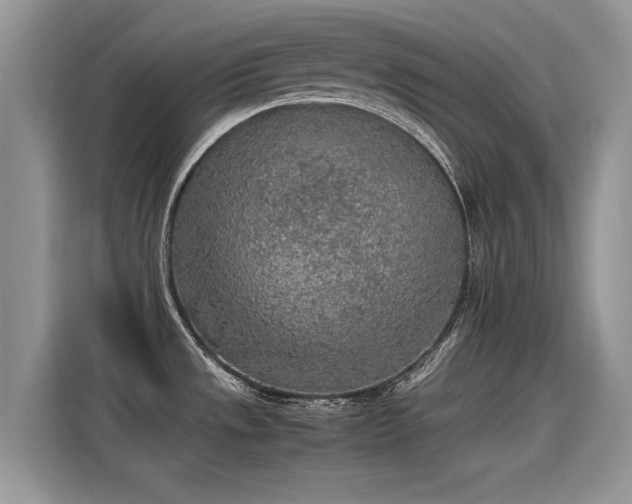 X0000115441533200911121113