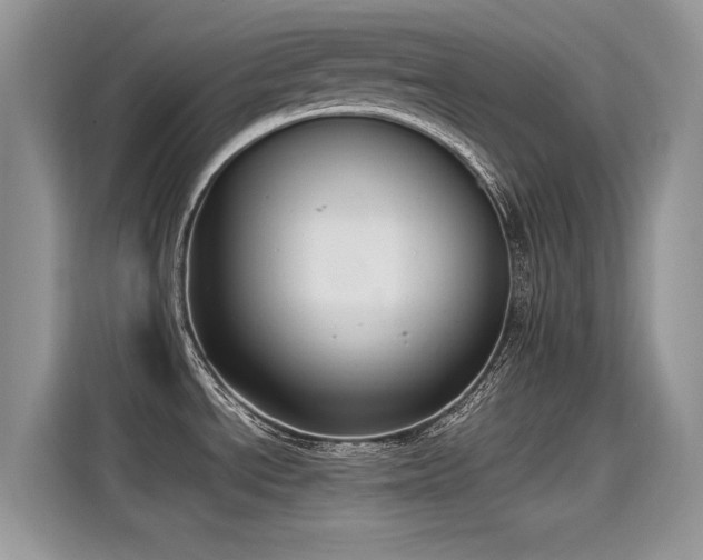X0000115441534200911121113