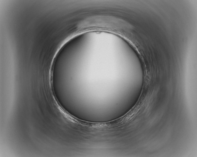 X0000115441535200911121113