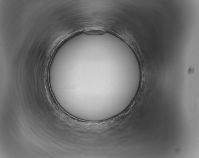 X0000115440001200911181534