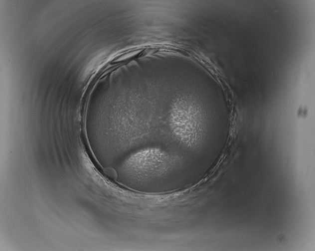X0000115440002200911181534