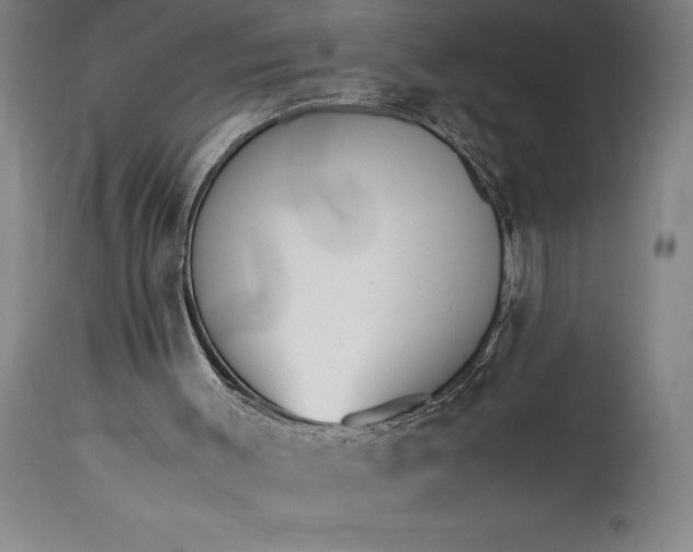 X0000115440003200911181534