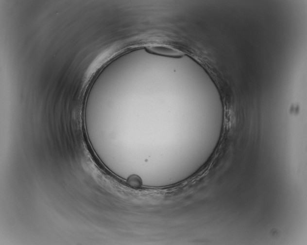 X0000115440004200911181534