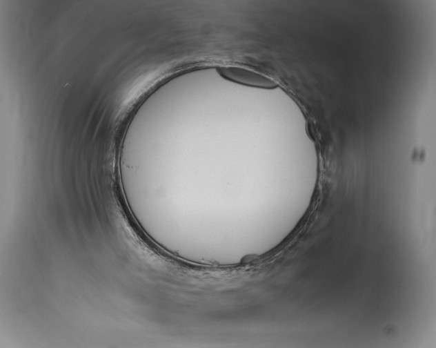 X0000115440005200911181534