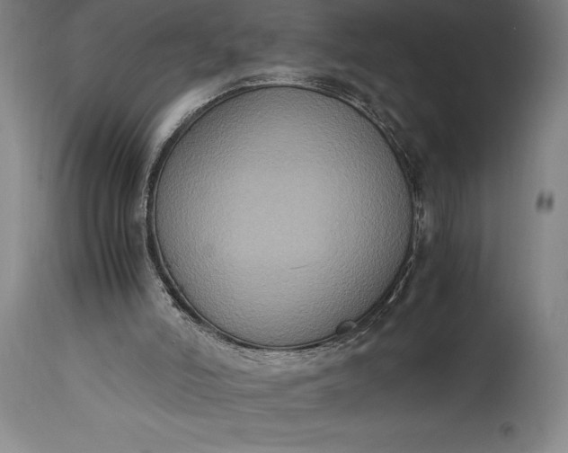 X0000115440006200911181534