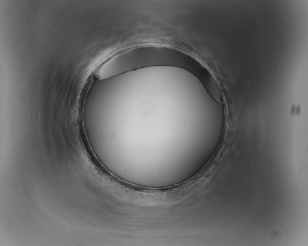 X0000115440008200911181534