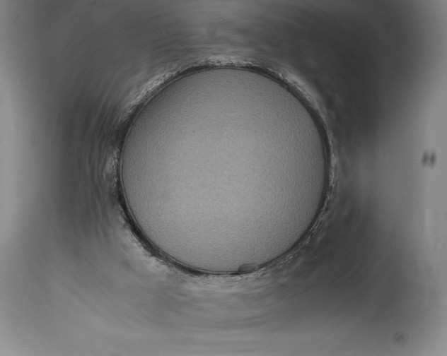 X0000115440009200911181534