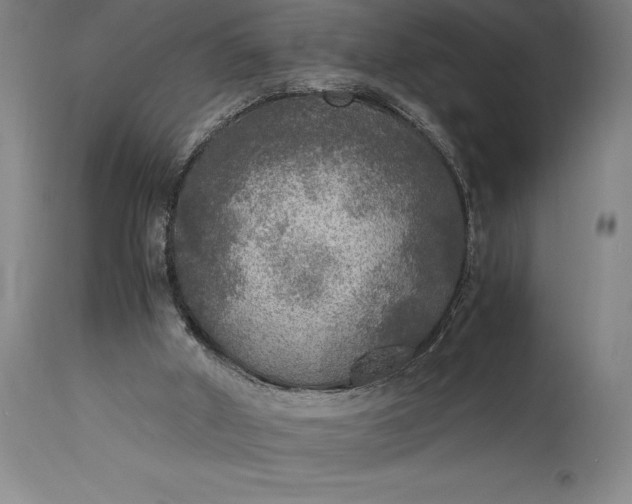 X0000115440010200911181534
