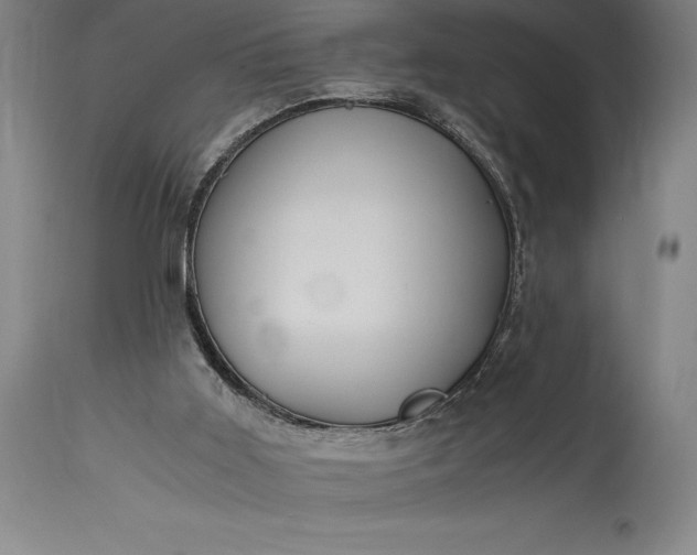 X0000115440011200911181534