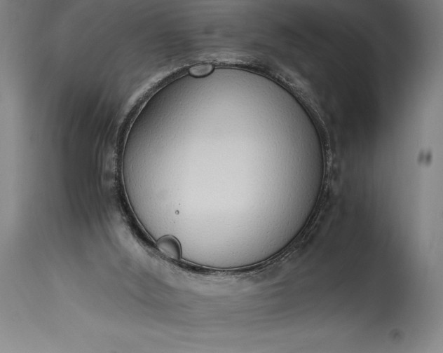 X0000115440012200911181534