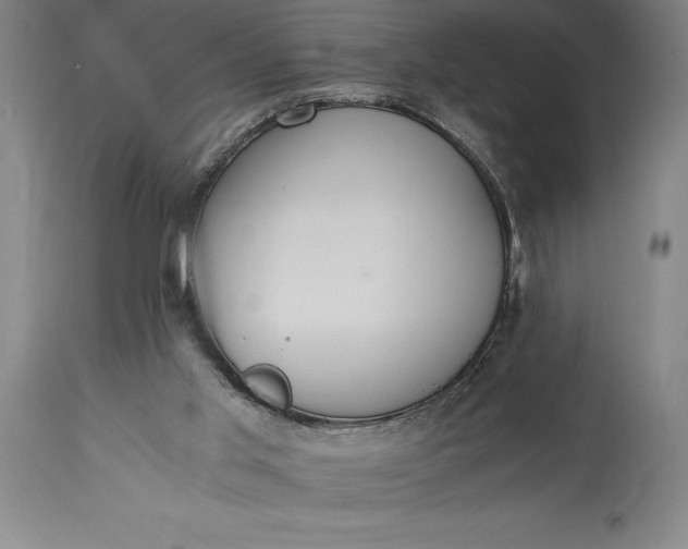 X0000115440013200911181534