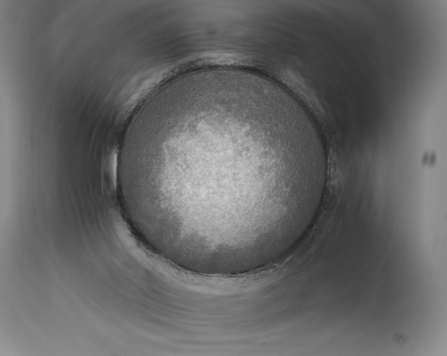 X0000115440014200911181534