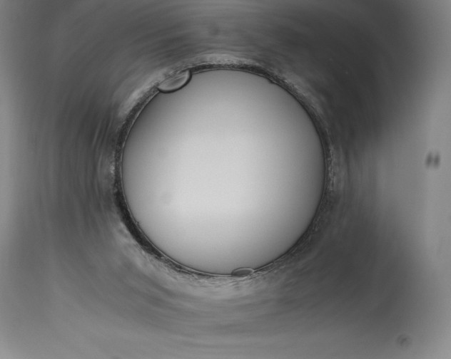 X0000115440015200911181534