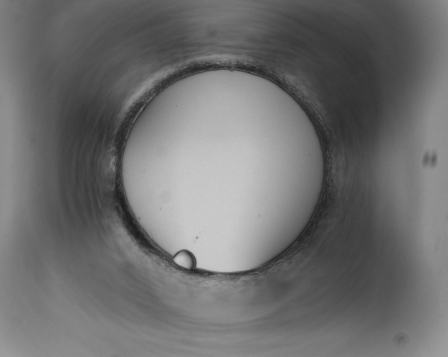 X0000115440016200911181534