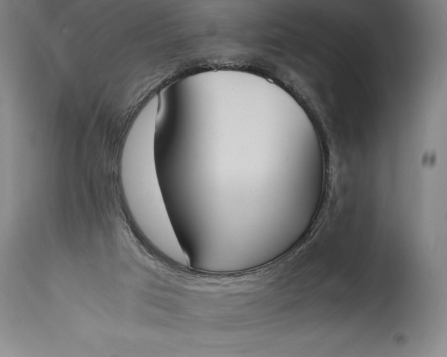 X0000115440017200911181534