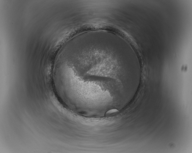 X0000115440018200911181534