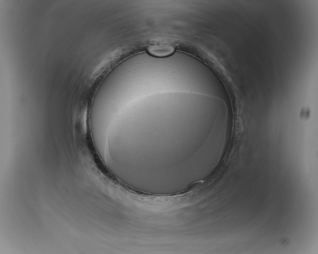 X0000115440019200911181534