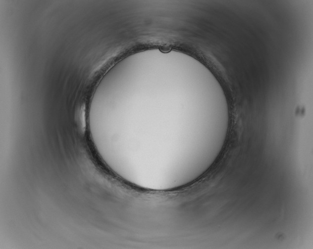 X0000115440020200911181534