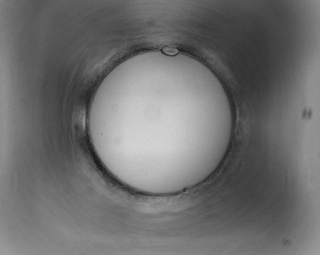 X0000115440021200911181534