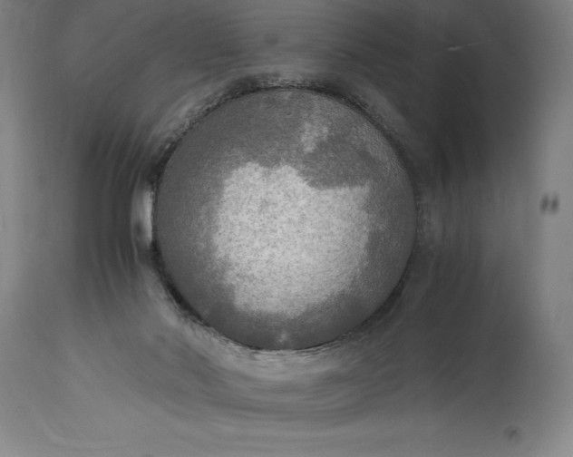 X0000115440022200911181534
