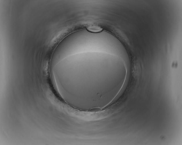 X0000115440023200911181534